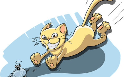 SEO Cat and Mouse Game With Google