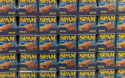 How do I stop SPAM from my website’s contact form?